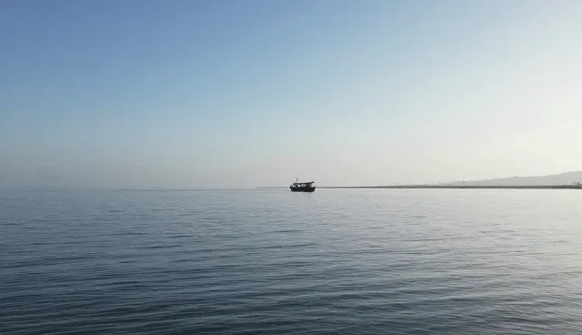 青海环湖一日游:会议接待流程优化建议