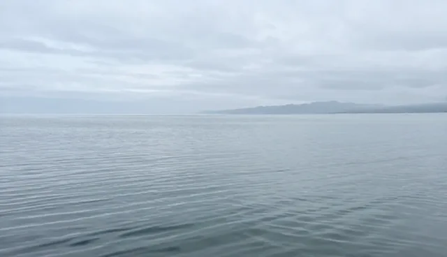 青海环湖一日游中包车服务的使用痛点与解决方案